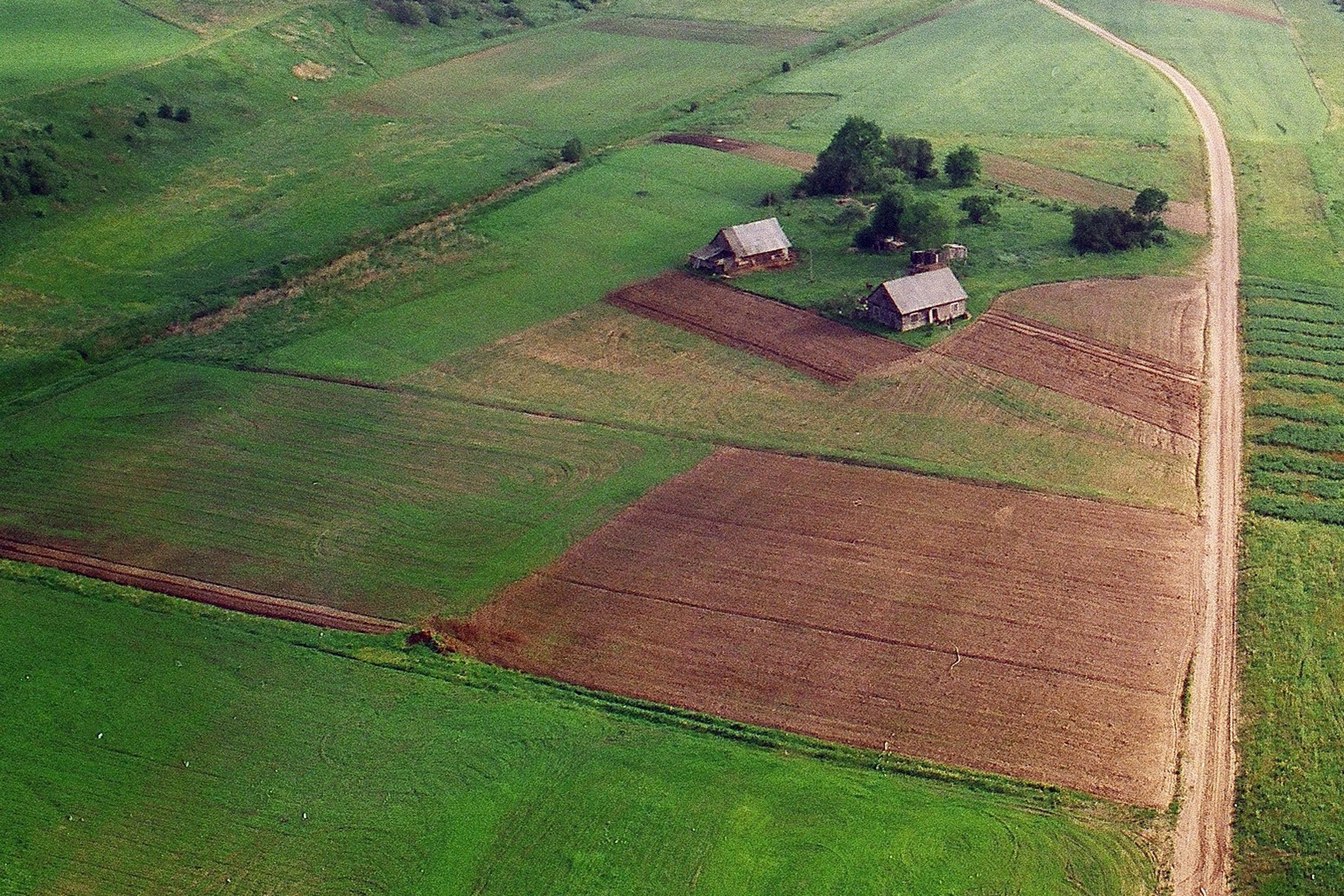Iliustracija