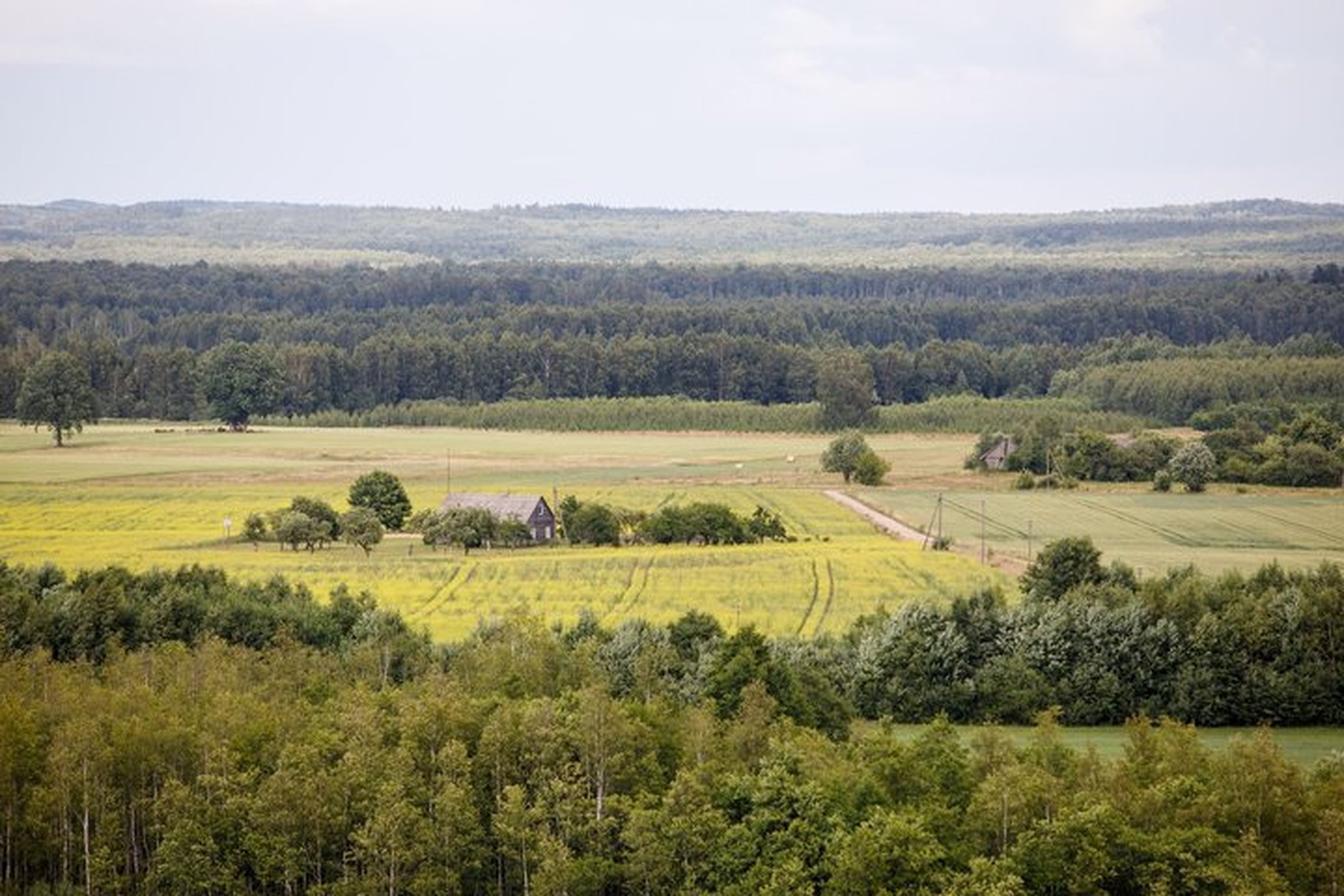 Iliustracija